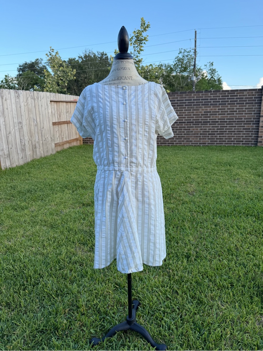 Shirt Dress